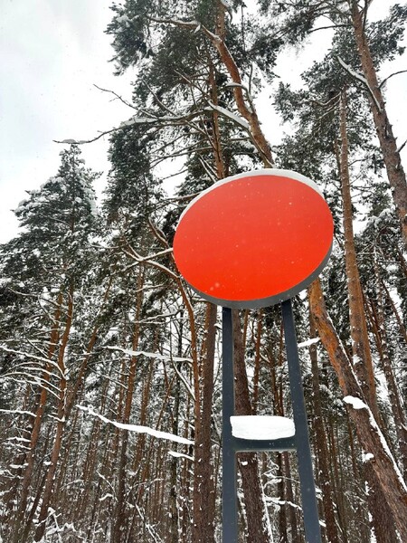 Частное солнце