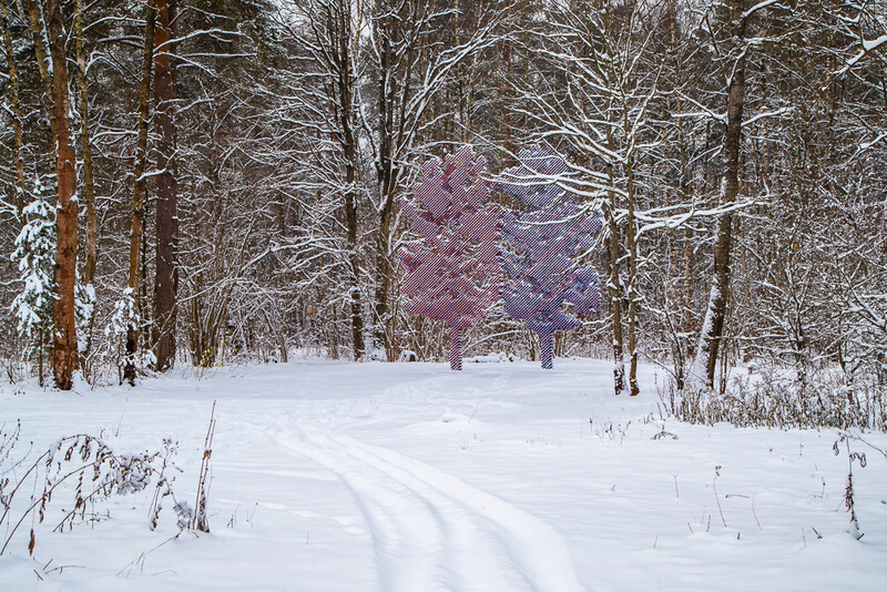 Цветные деревья