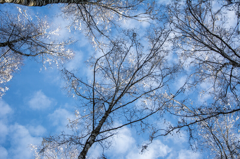 Маршрут «При чём тут Малевич?»