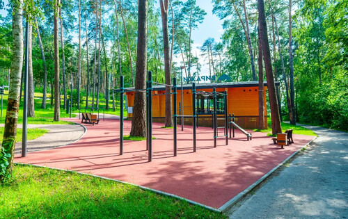 Воркаут площадка