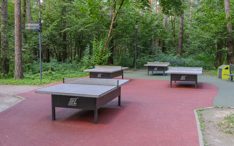 Теннис настольный