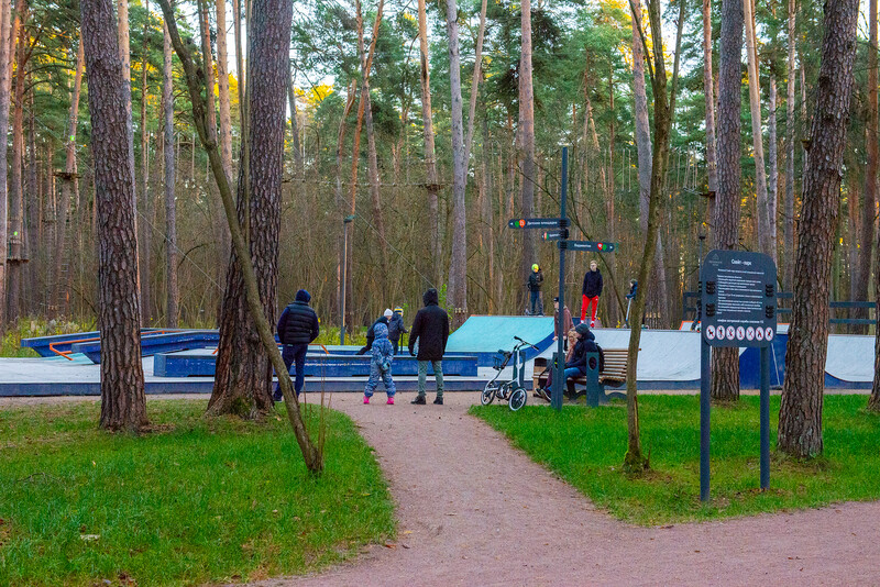 Скейт парк