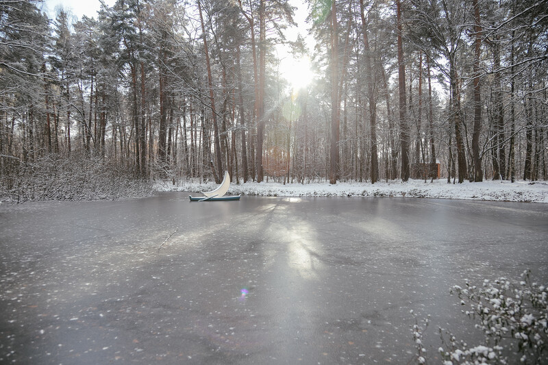 Частная луна