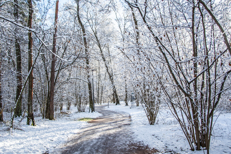 Парк Малевича