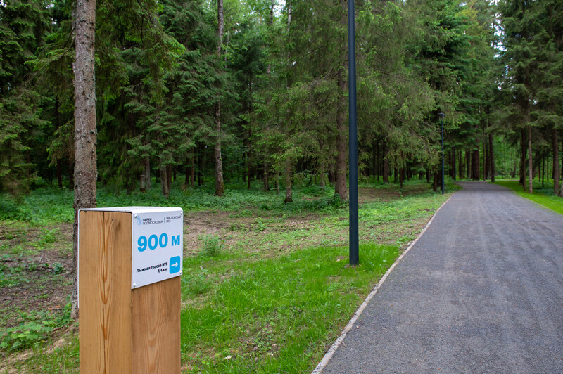 Масловский лес