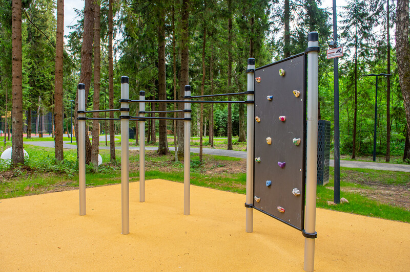 Масловский лес