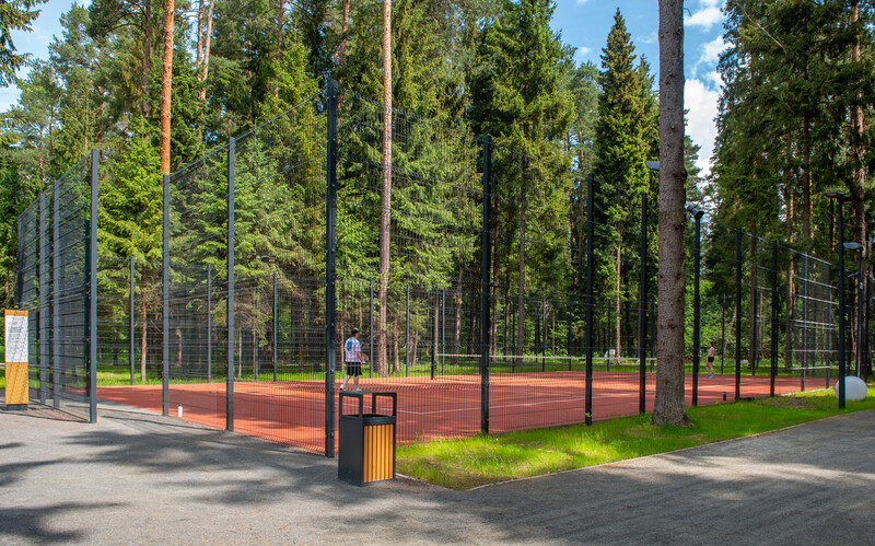 Масловский лес