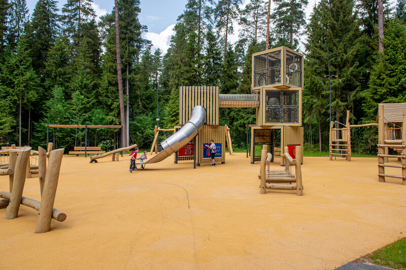 Масловский лес