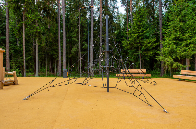 Масловский лес