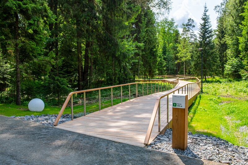 Масловский лес