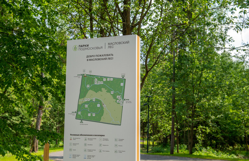 Масловский лес