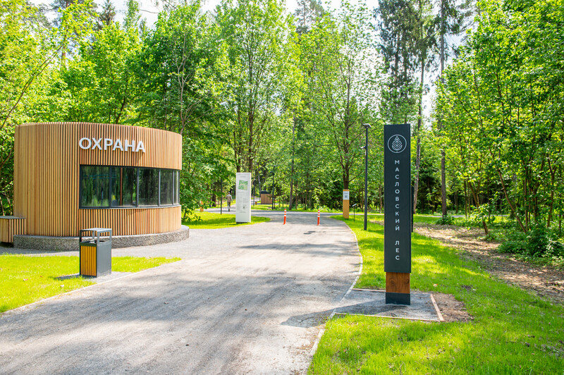 Масловский лес