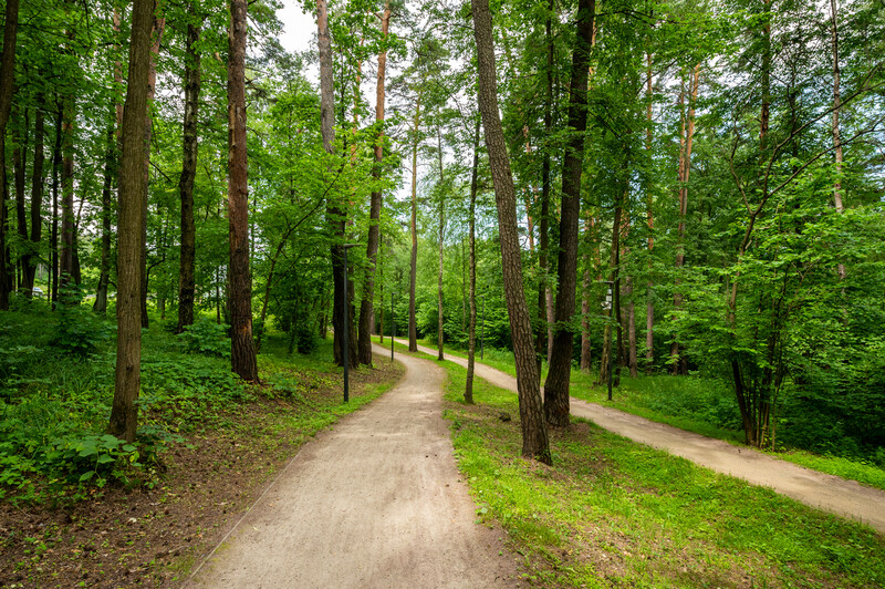 Велодорожка Виражи