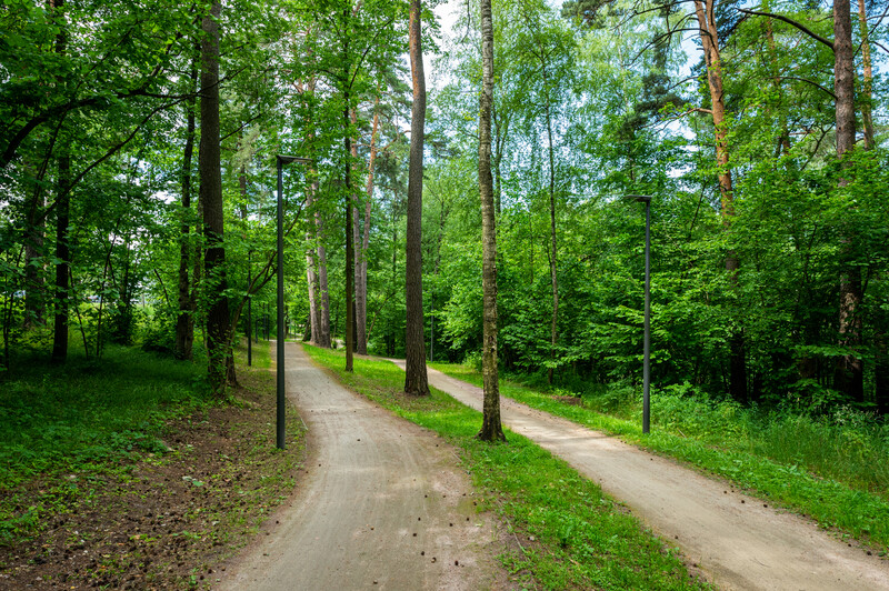 Велодорожка Виражи