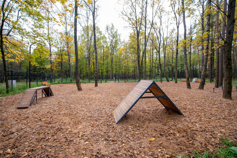 Лесопарк Супонево