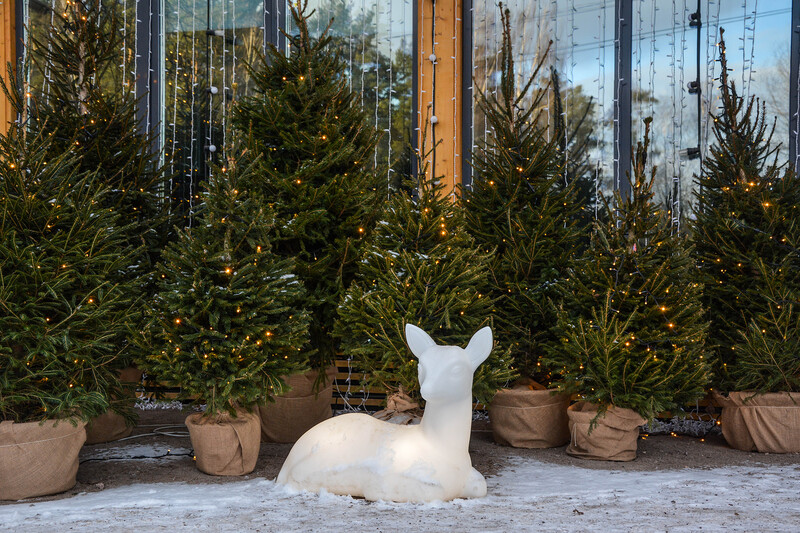 Парк Раздолье