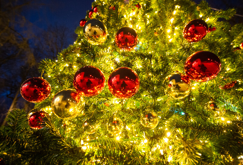 Городской парк г. Звенигород