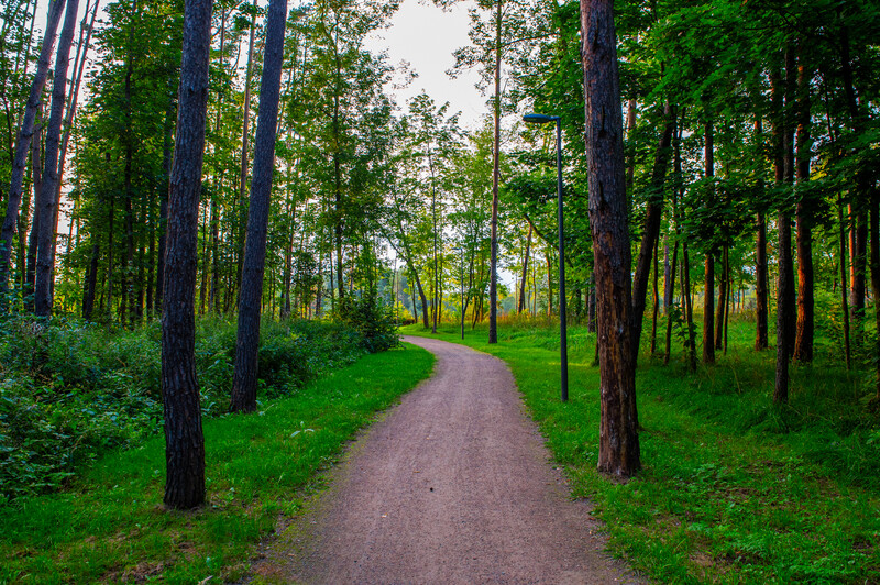 Парк у воды «Отражение»