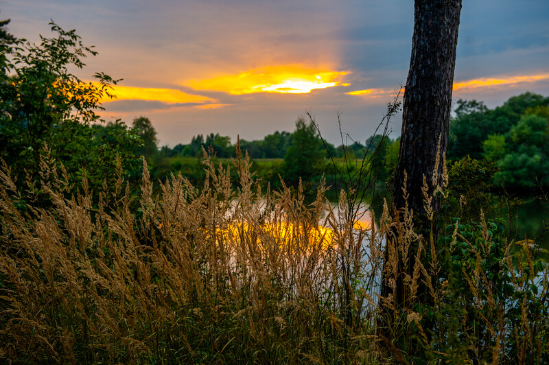 Парк у воды «Отражение»
