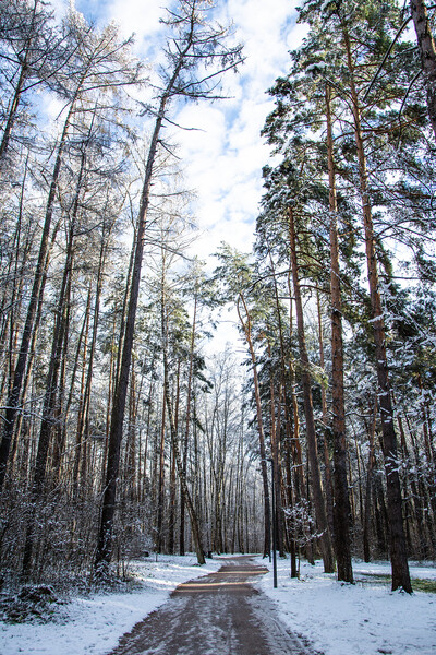 Парк Малевича