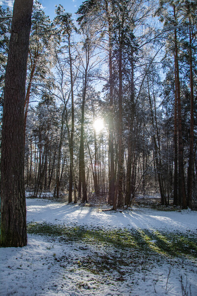Парк Малевича