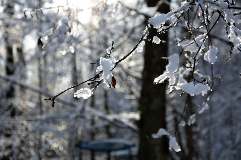 Парк Малевича
