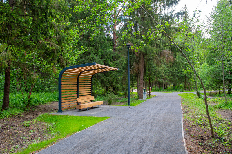 Масловский лес