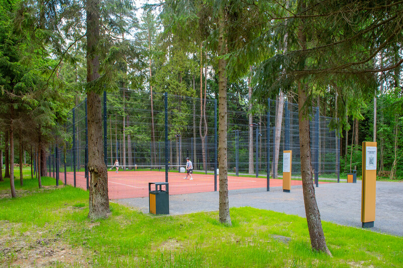 Масловский лес