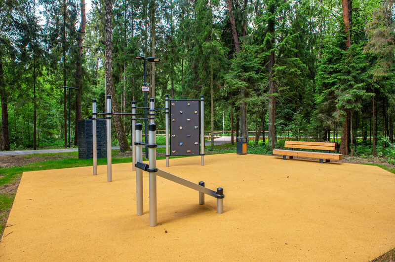 Масловский лес