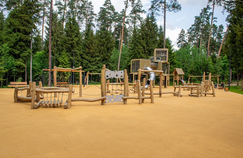 Масловский лес