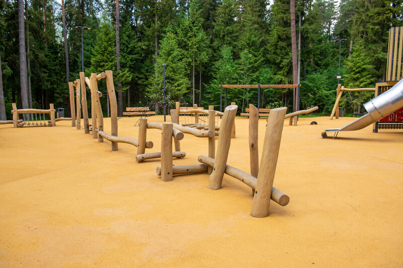 Масловский лес