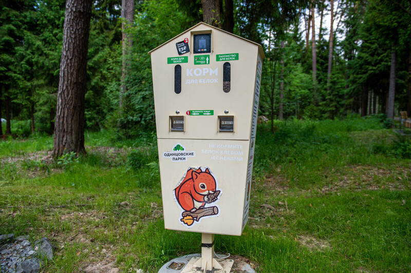 Масловский лес