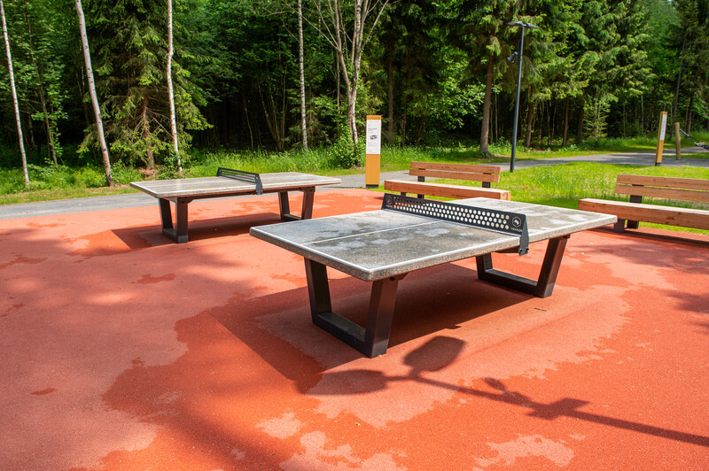 Масловский лес