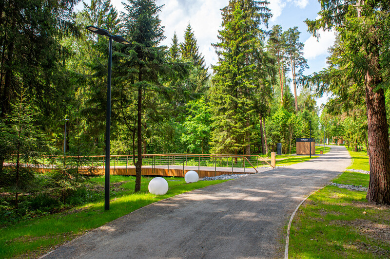 Масловский лес