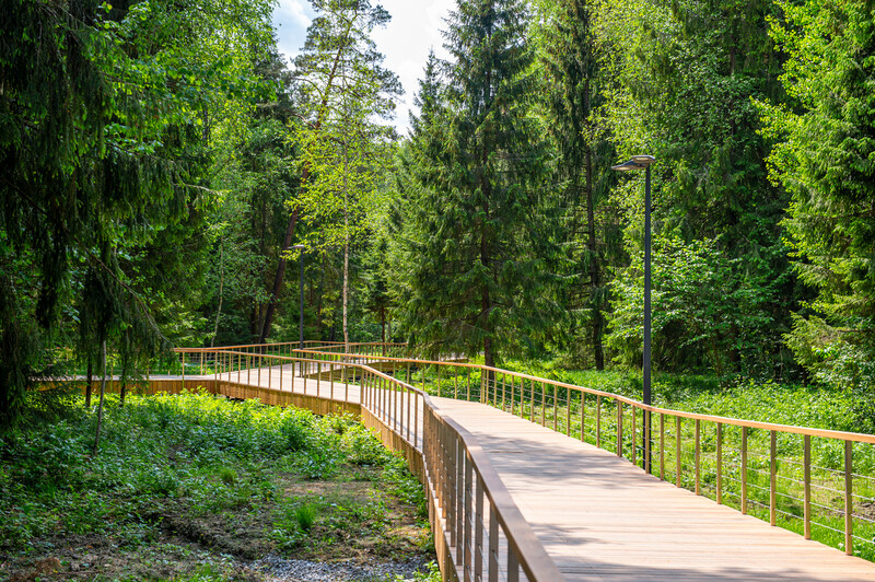 Масловский лес