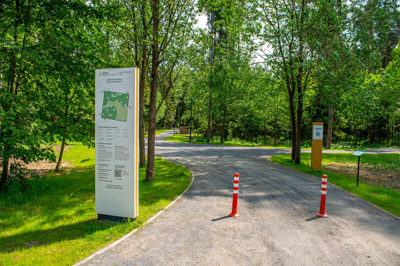 Масловский лес