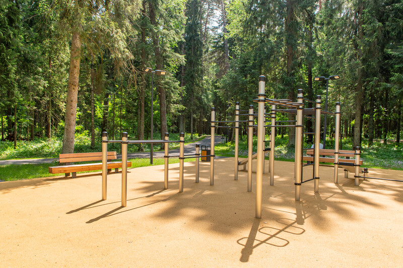 Масловский лес