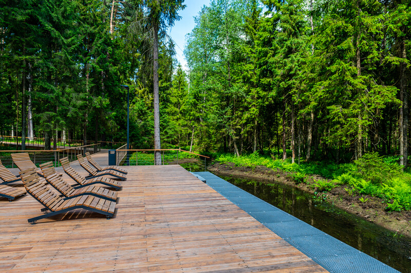 Масловский лес