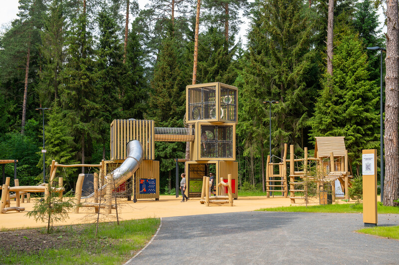 Масловский лес