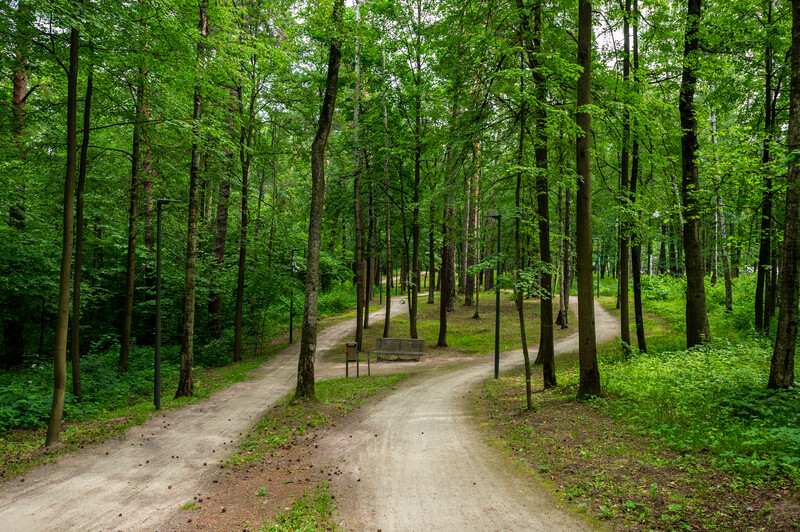 Велодорожка Виражи