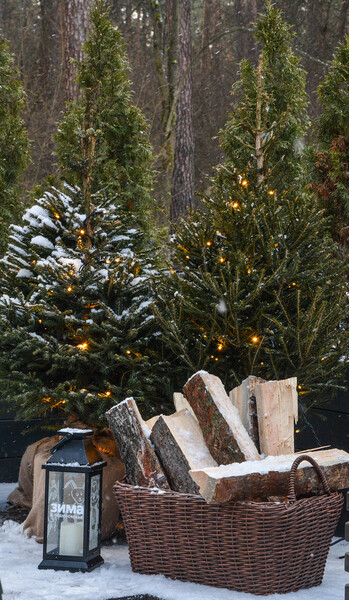 Парк Раздолье