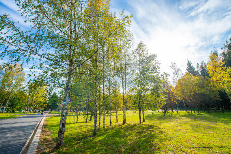 Лесопарк Супонево