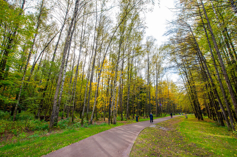 Лесопарк Супонево