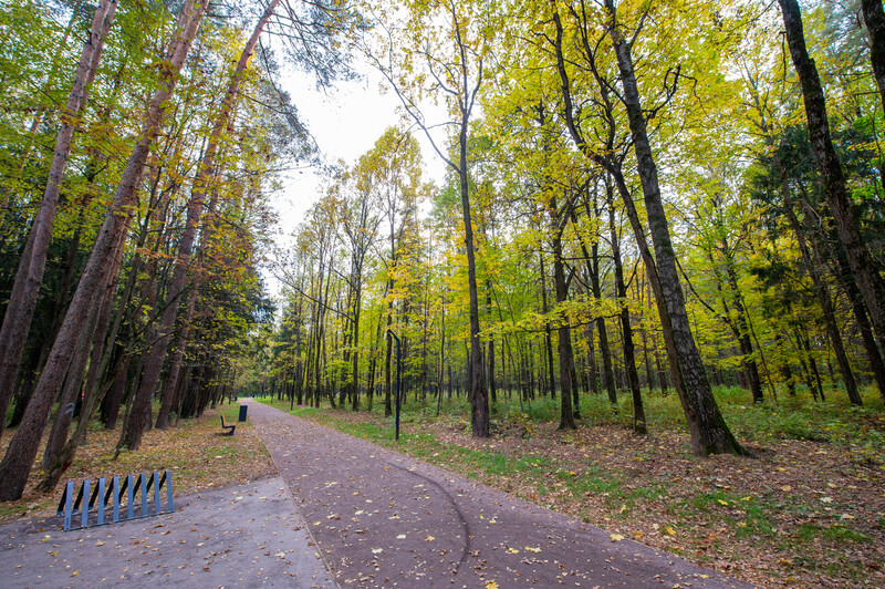 Лесопарк Супонево