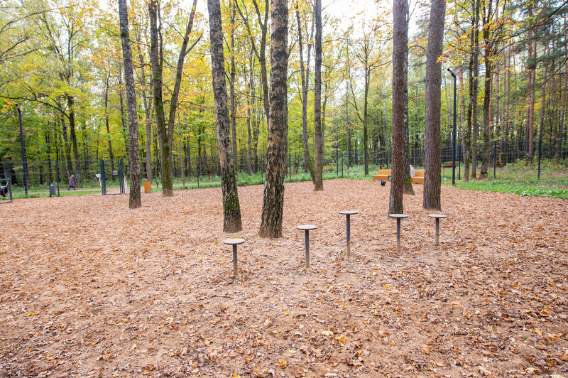 Лесопарк Супонево