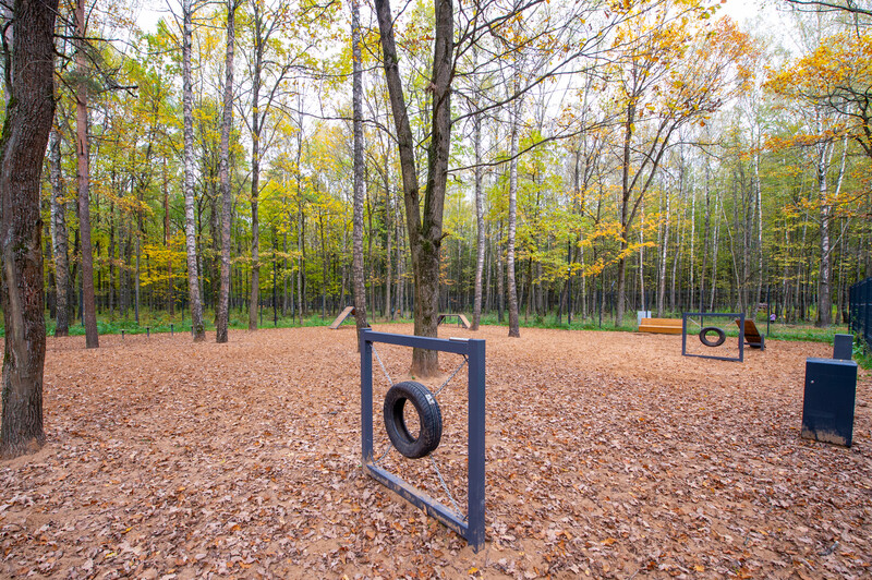 Лесопарк Супонево