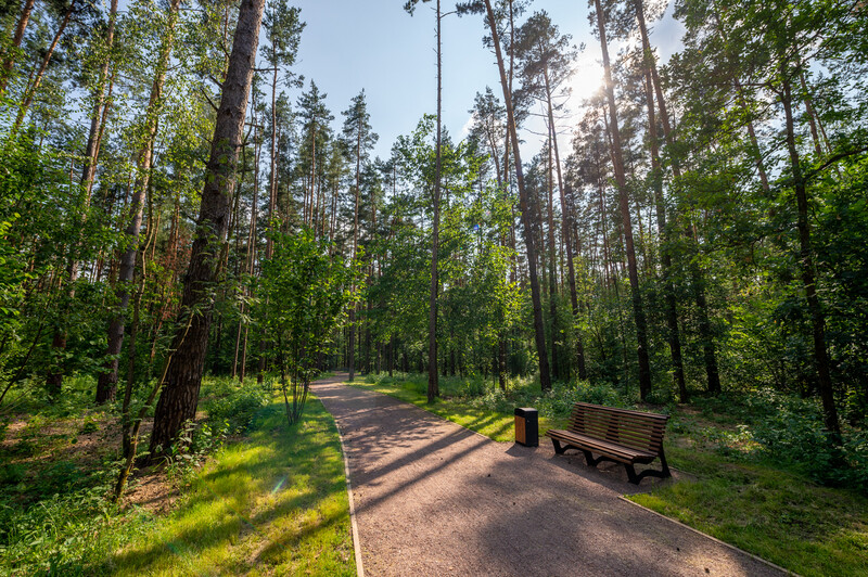 Парк Малевича