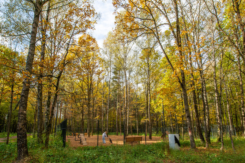 Лесопарк Супонево