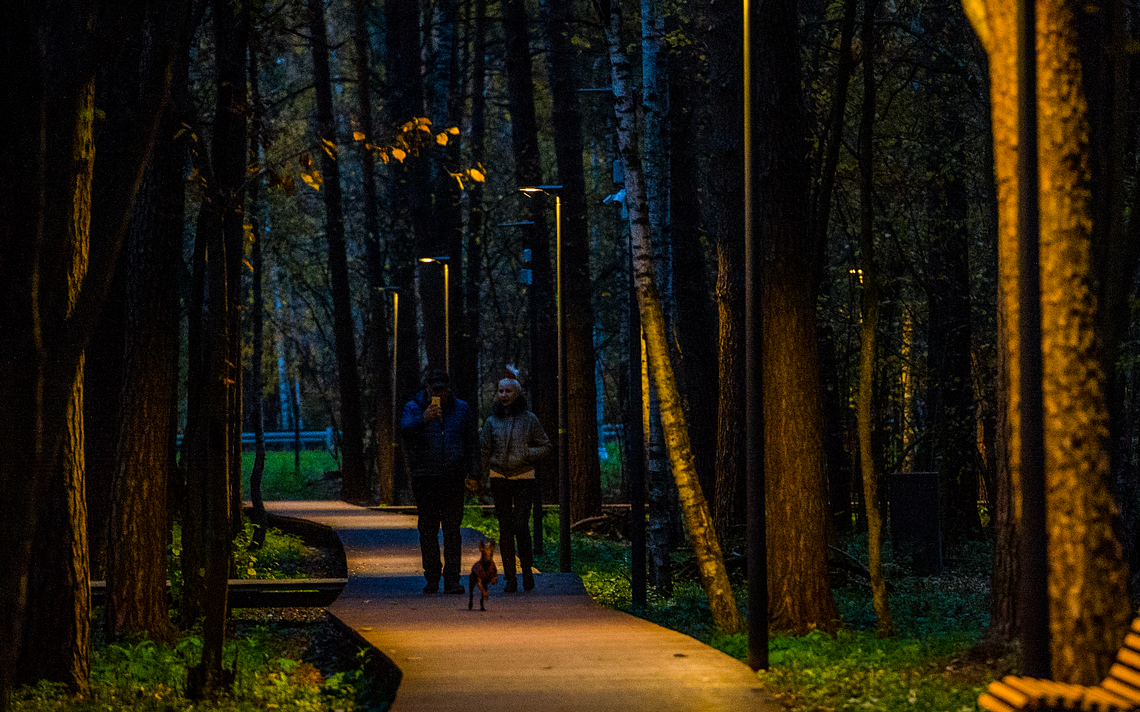 Вечерняя прогулка в парке