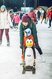 На катке